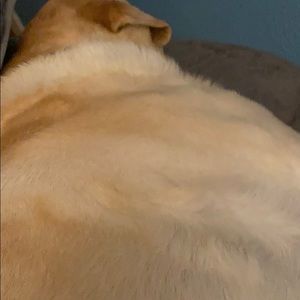 Meet your Posher, Kevin